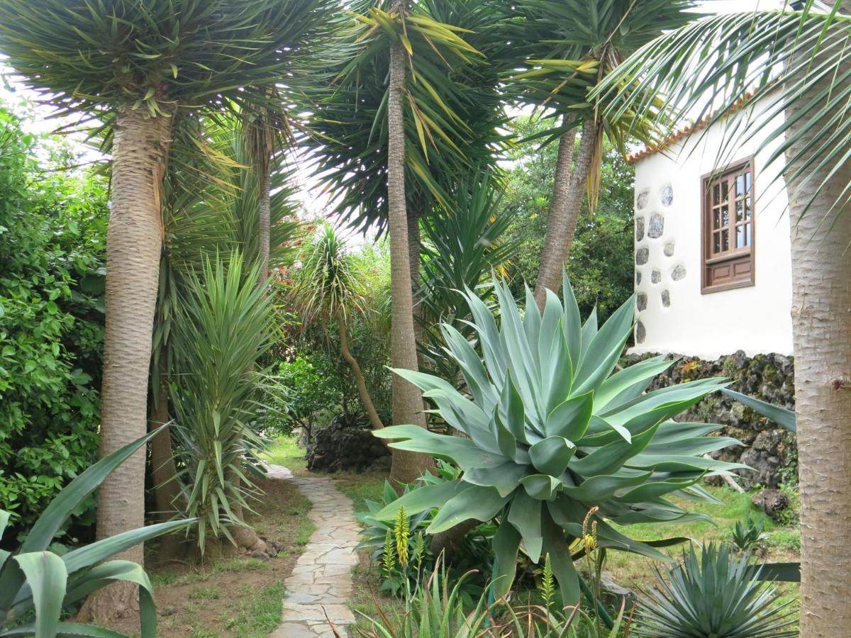 La Casita De La Vega Apartment Icod De Los Vinos Exterior photo